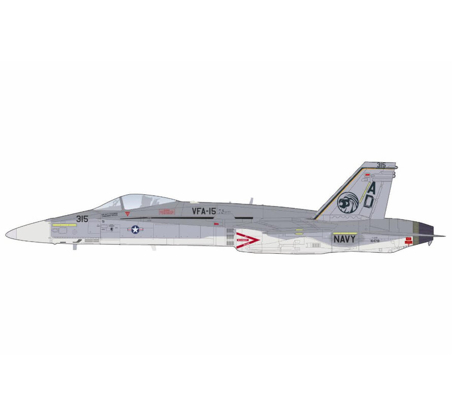 FA18C VFA-15 Retro TAC Demo Jet VFA-106 Gladiators AD-315 164718 March 2017 1:72 +pre-order+
