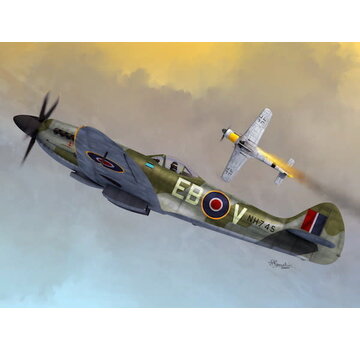 Sword Spitfire Mk.XIVC/E Bubbletop 1:72
