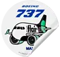 Flair B737 Max8 Round