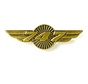 Pin 747 Wings Bronze 1 1/2"