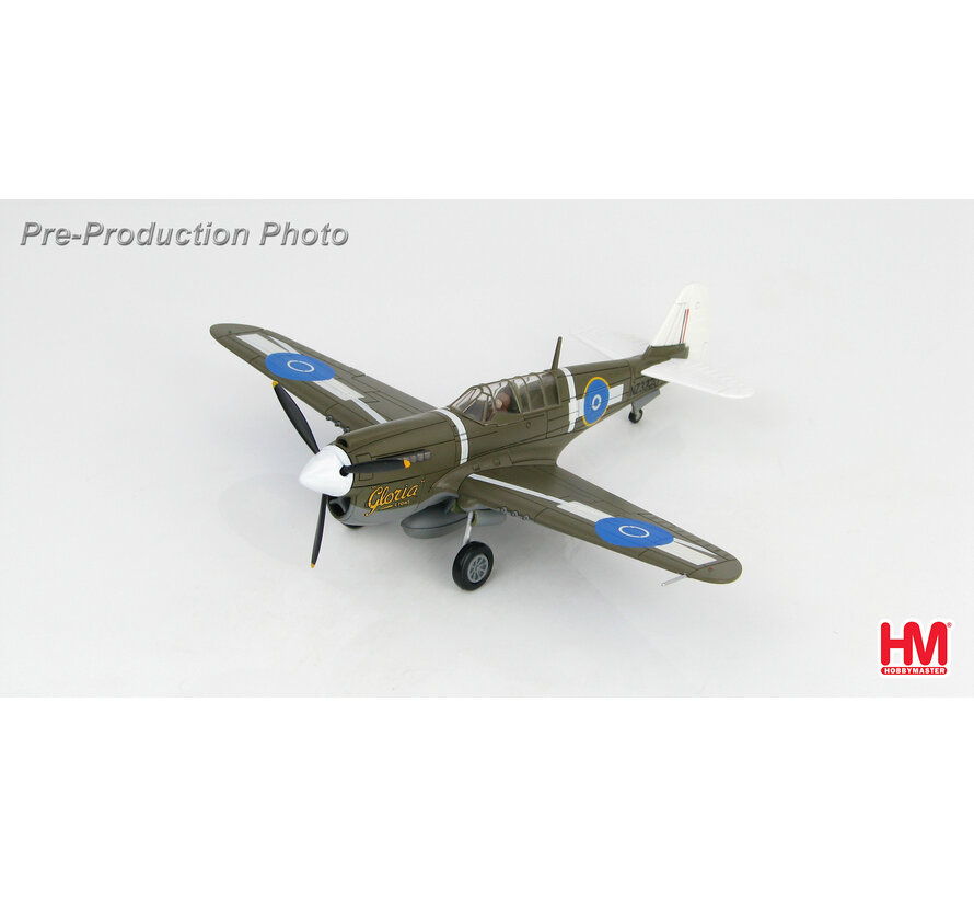 P-40N Warhawk No.4 Servicing Unit RNZAF 'Gloria Lyons' 1:72 **Collection sale