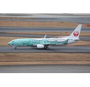 JC Wings B737-800W Japan Transocean Air Yui Jinbei Jet whale JA07RK 1:400 winglets NEW TOOLING +pre-order+