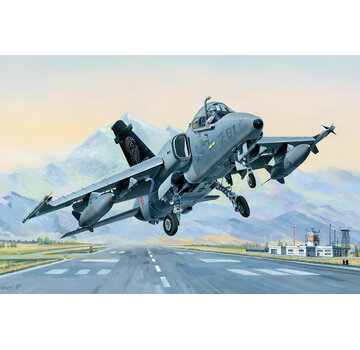 HobbyBoss A-11A Ghibli AMX Ground Attack Aircraft 1:48