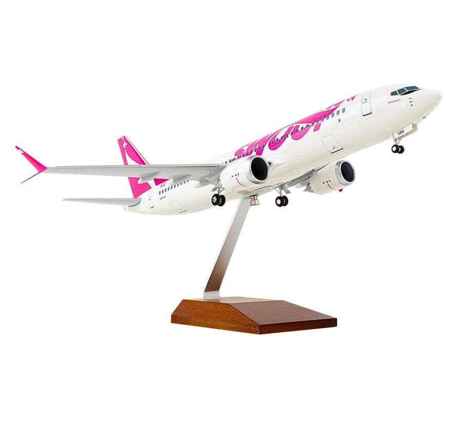 B737 Max8 Swoop 1:100 with wood stand & gear