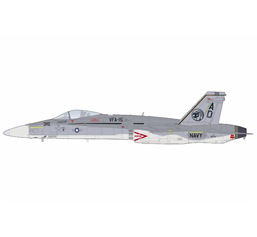 FA18C VFA-15 Retro TAC Demo Jet VFA-106 Gladiators AD-315 164718 March 2017 1:72 +New Arrival+