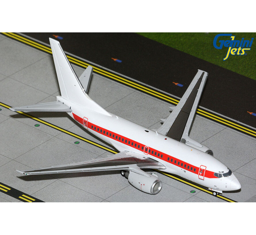 B737-600 EG&G Janet USAF N319BD 1:200 *New Arrival
