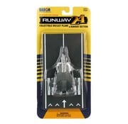 Runway 24 F22 Raptor USAF Grey with runway section
