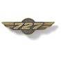 Pin 727 Wings Bronze 1 1/2"