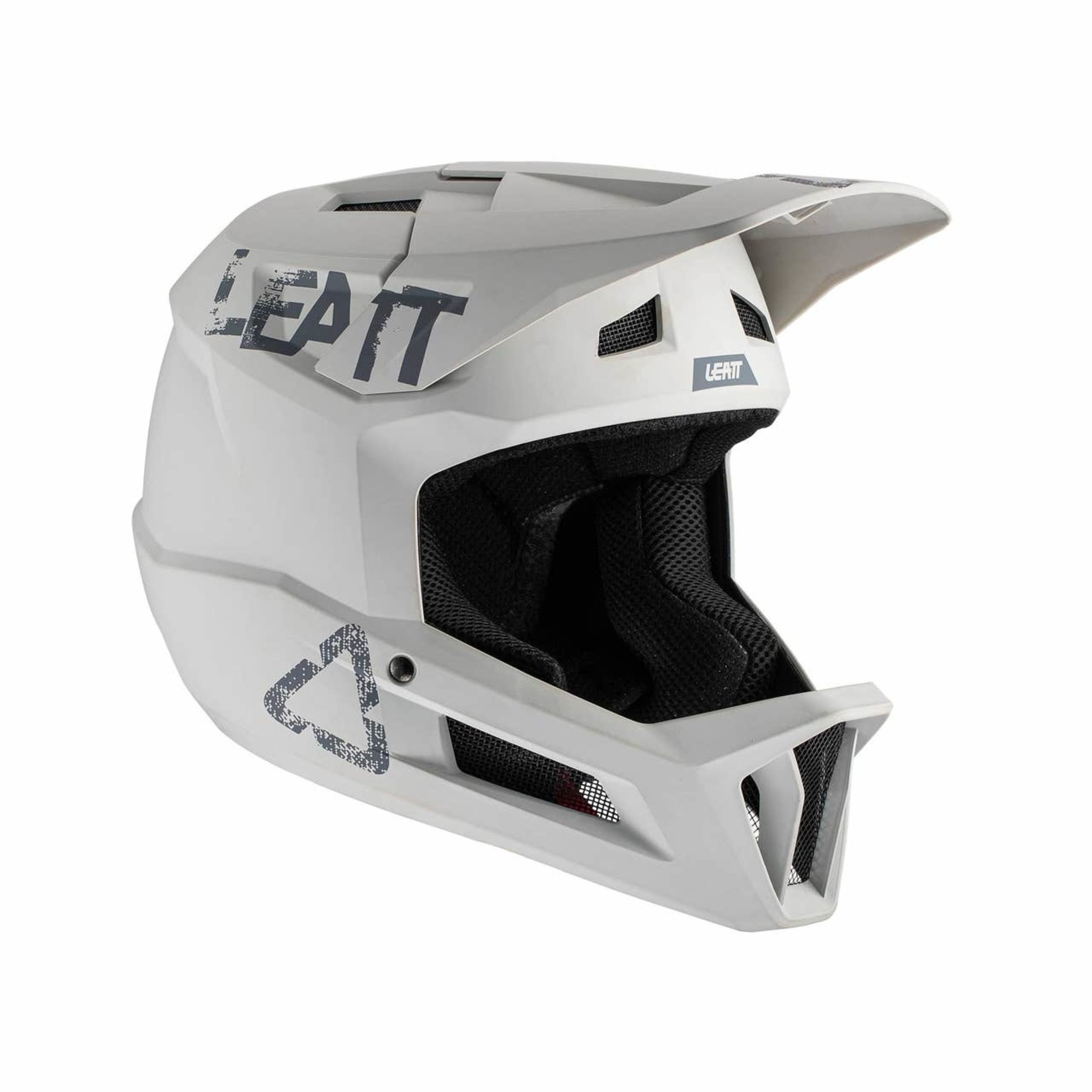 Leatt Leatt Helmet MTB Gravity 1.0 DH V21 Steel