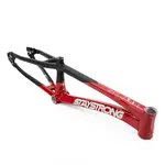 Stay Strong Stay Strong For Life V5 Pro XL Frame 21.25''TT