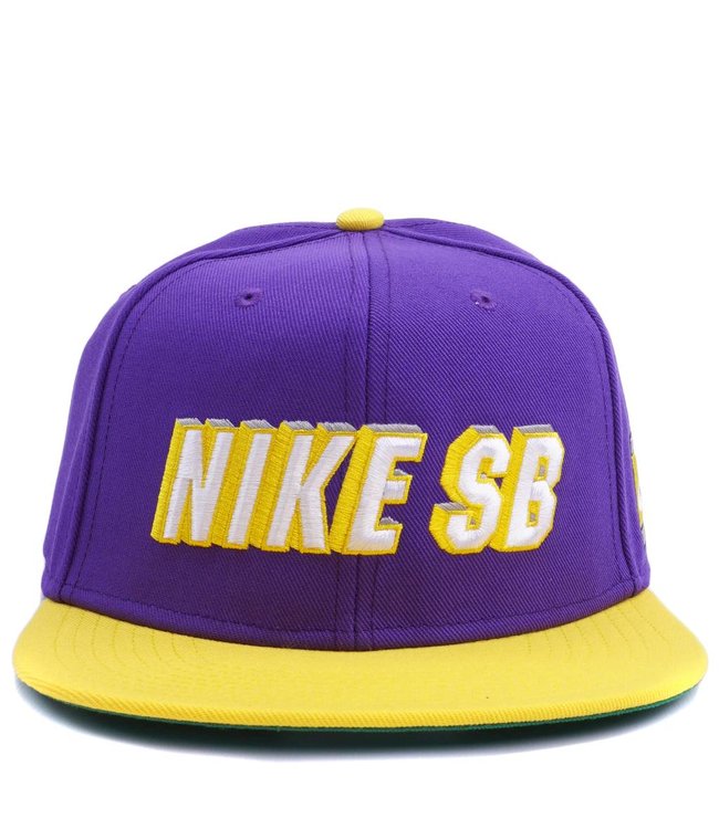 nike snapback sb