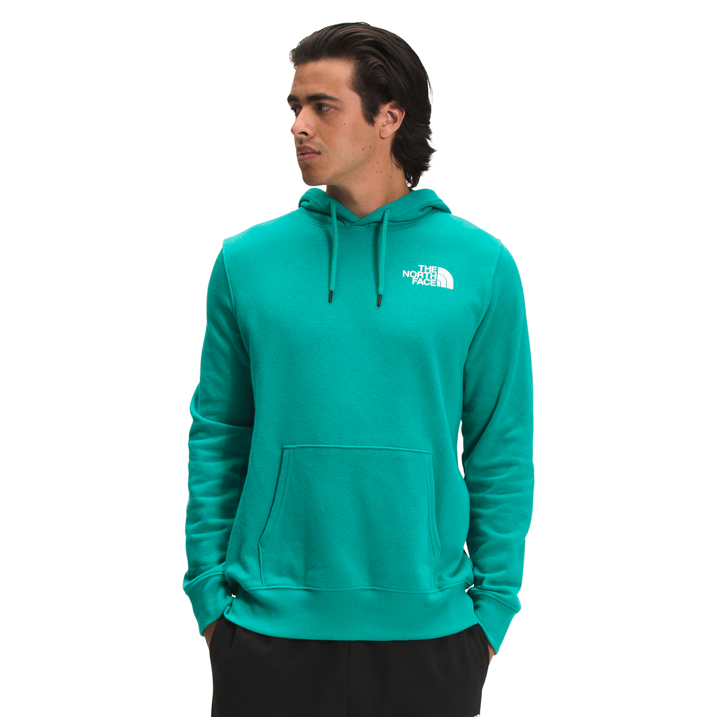 the north face box nse pullover hoodie