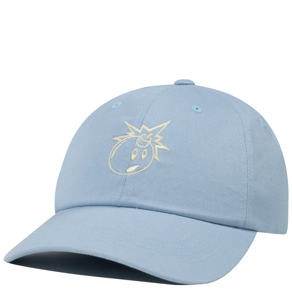 the hundreds dad cap