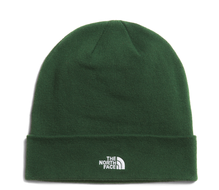 North face clearance beanie green