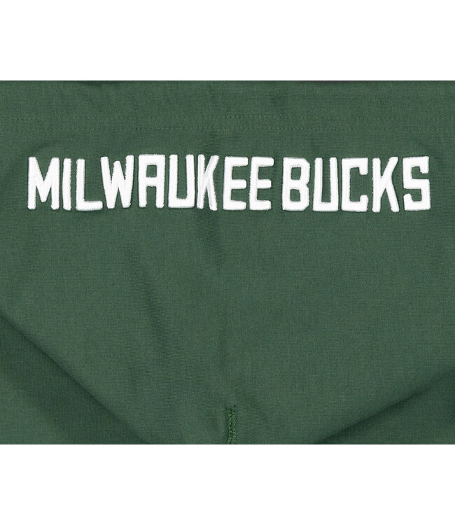 New Era Milwaukee Bucks Logo Select Pullover Hoodie Green Moda3 