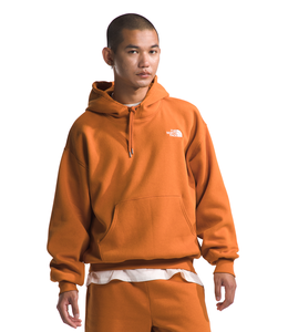 THE NORTH FACE EVOLUTION VINTAGE PULLOVER HOODIE