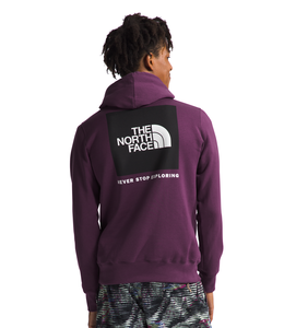 THE NORTH FACE BOX NSE PULLOVER HOODIE