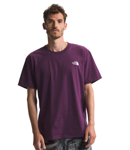 THE NORTH FACE EVOLUTION BOX FIT TEE