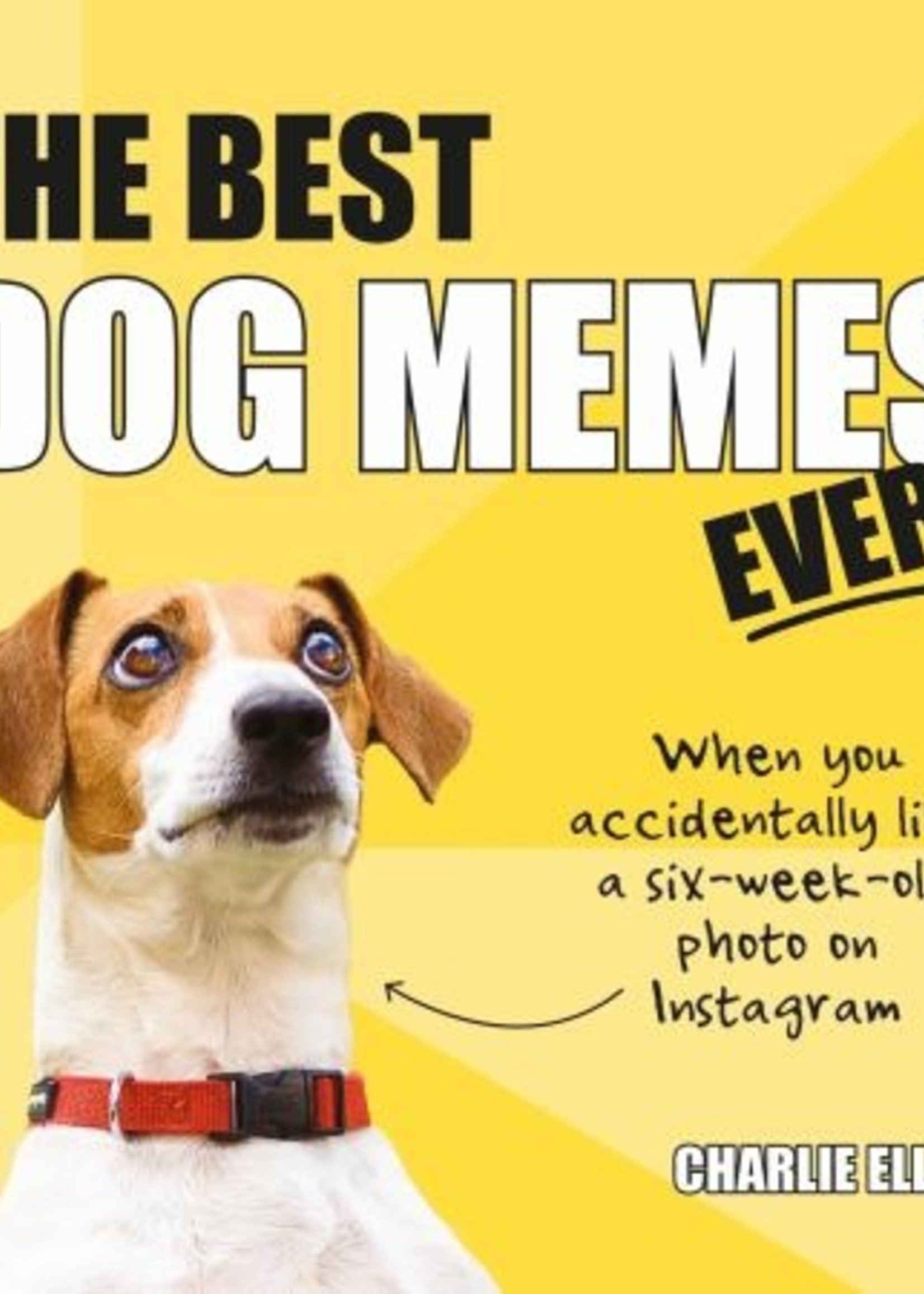 hachette book group hachette best dog memes ever book