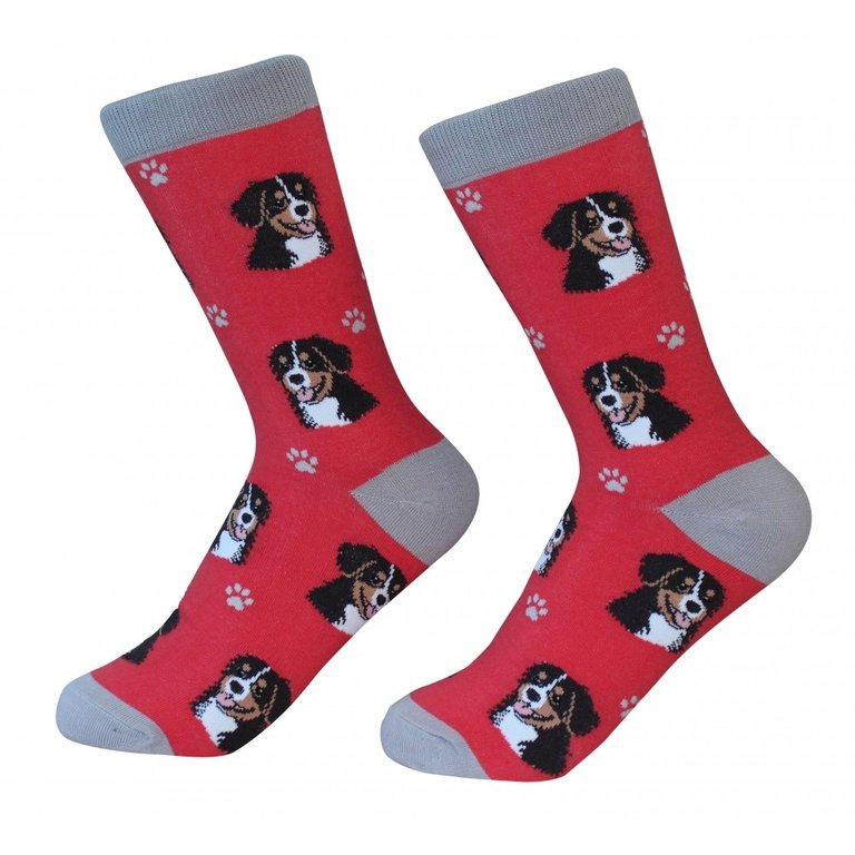 Sock Daddy Sock Daddy - Bernese Mountain Dog - Red - Crew - Unisex