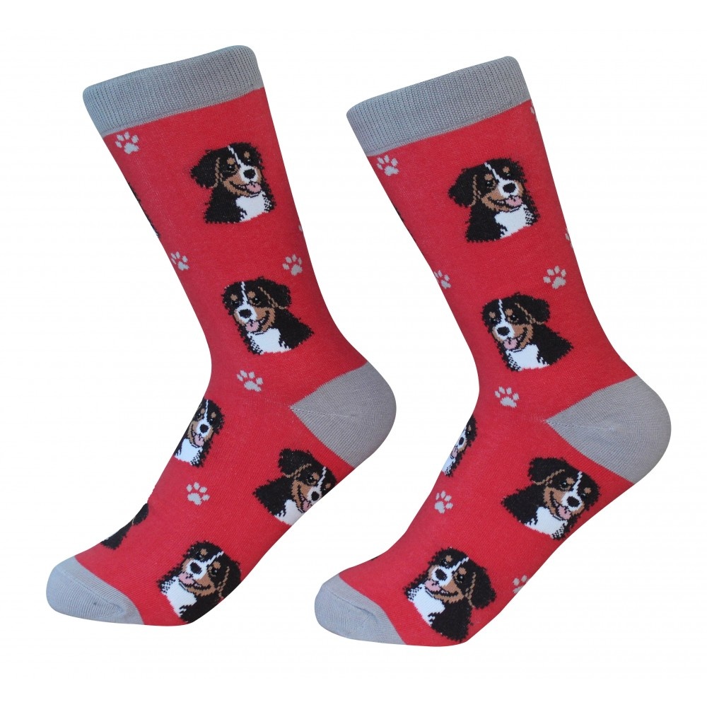 Sock Daddy - Bernese Mountain Dog - Red - Crew - Unisex