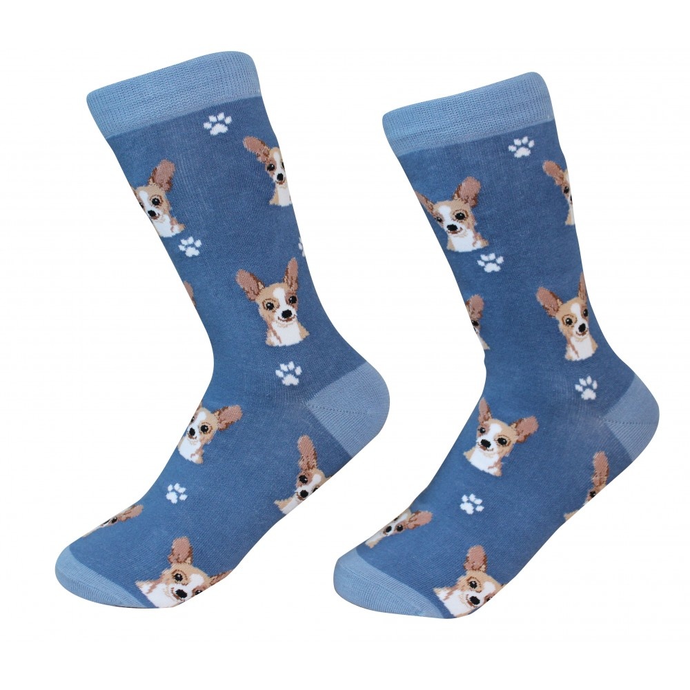 Sock Daddy - Chihuahua - Blue - Crew - Unisex