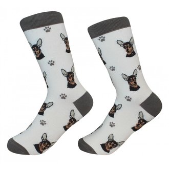 Sock Daddy Sock Daddy - Chihuahua - Tan- Crew - Unisex