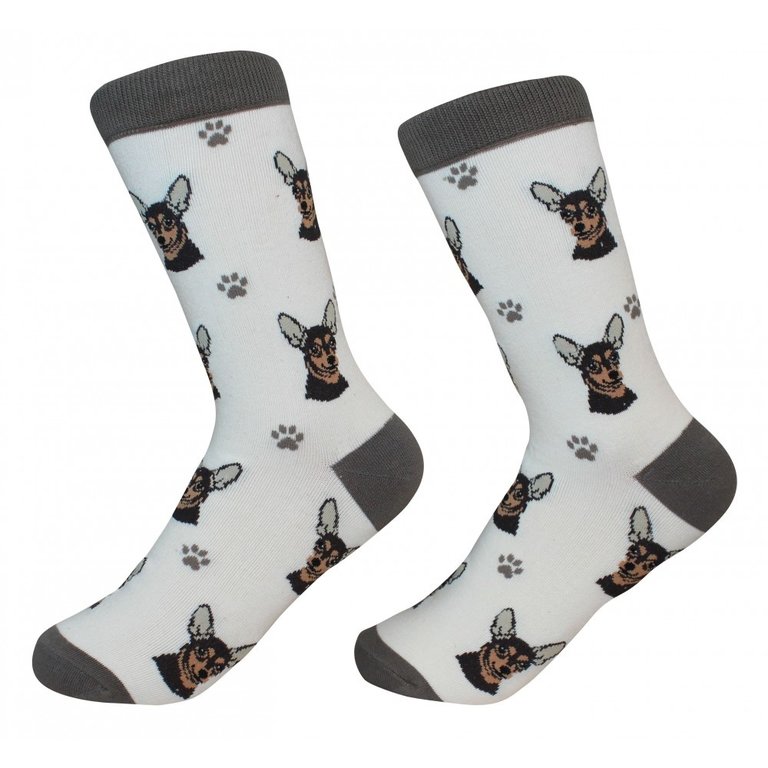 Sock Daddy - Chihuahua - Tan- Crew - Unisex