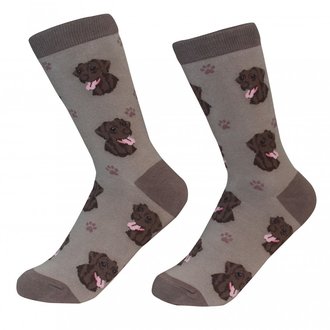 Sock Daddy Sock Daddy - Labrador - Chocolate - Crew - Unisex