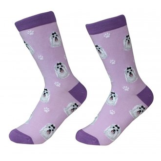 Sock Daddy Sock Daddy - Maltese - Purple - Crew - Unisex