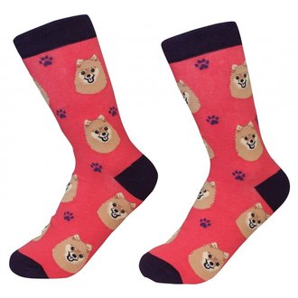 Sock Daddy Sock Daddy - Pomeranian - Red - Crew - Unisex