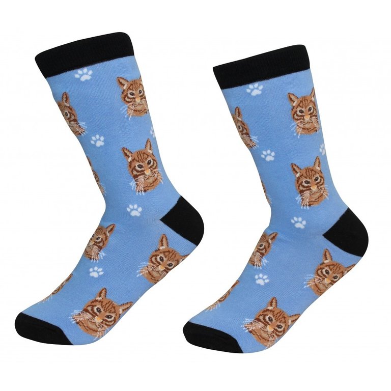 Sock Daddy Sock Daddy - Tabby - Orange - Crew - Unisex