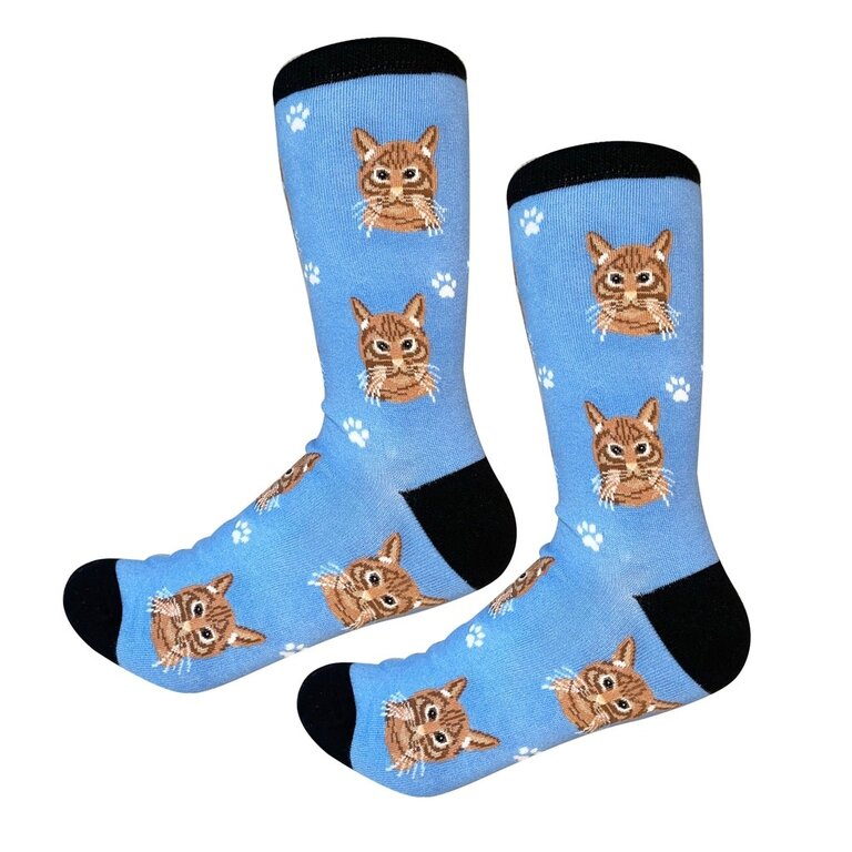 Sock Daddy Sock Daddy - Tabby - Orange - Crew - Unisex