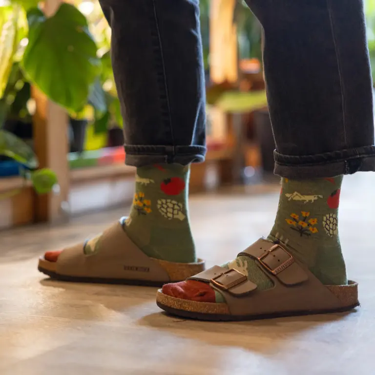 Darn Tough Vermont Darn Tough - Farmer's Market - Lightweight Crew - Willow - Women's