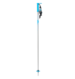 LINE Wallishtick Ski Pole 2023/2024