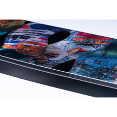 LIB-TECH T Rice Pro Snowboard 2025/2026