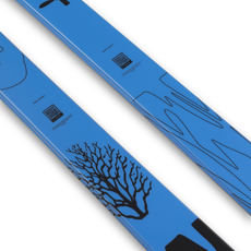 VOLKL Revolt 81 Ski 2025/2026