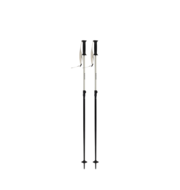 LINE Get Up Ski Pole 2026/2027