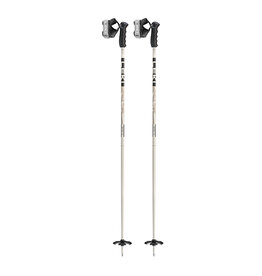 Leki Detect S Ski Pole 2026/2027