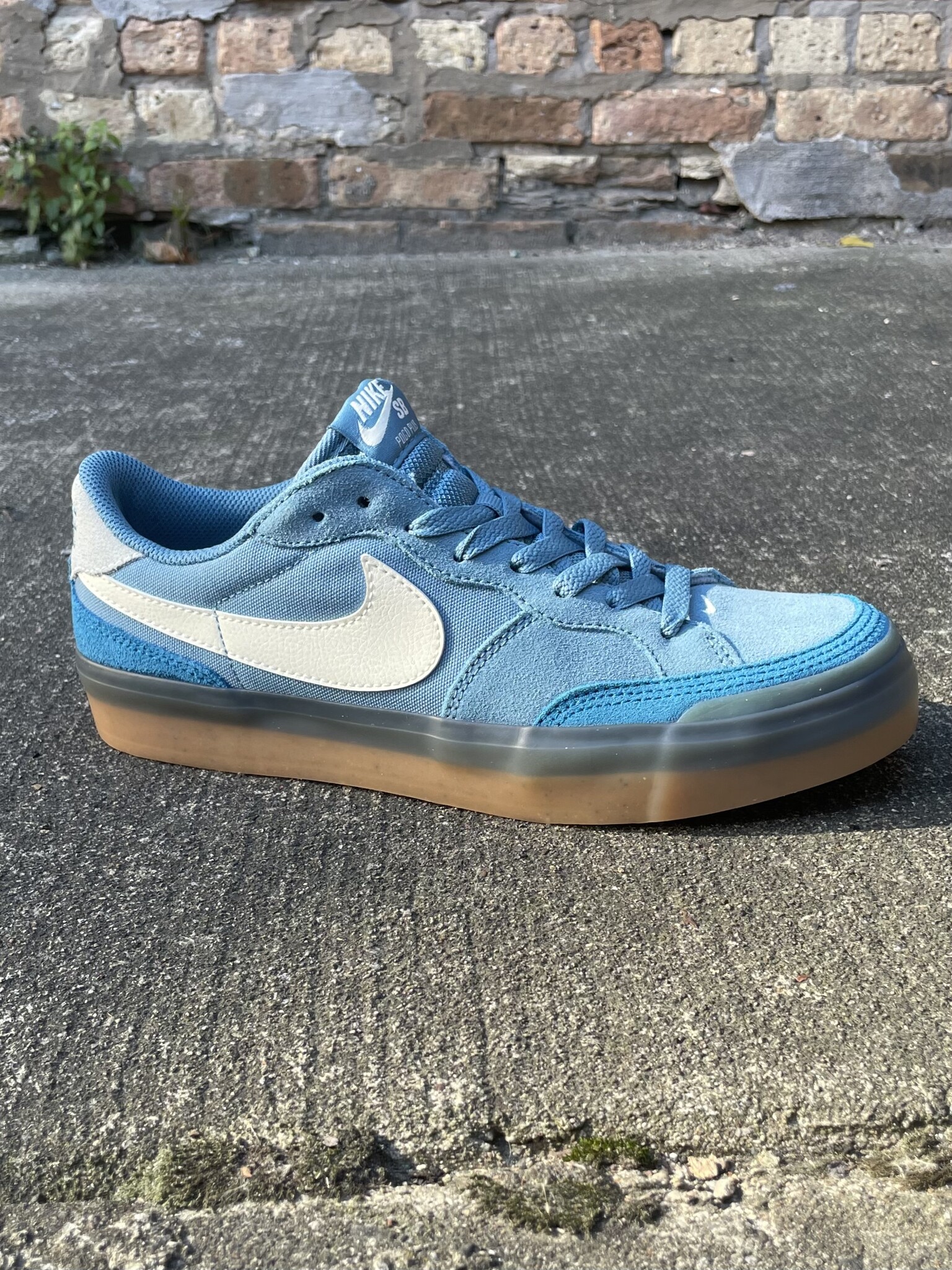 Nike Sb Zoom Pogo Plus - Noise Aqua/Coconut Milk - FA SKATES