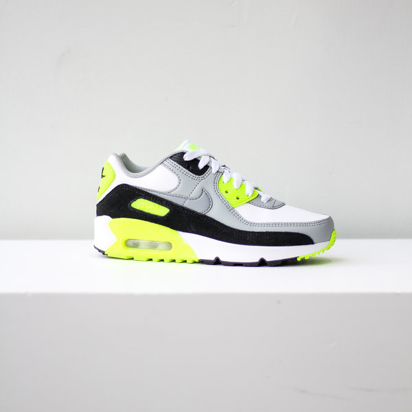 nike air max 90 ltr blue