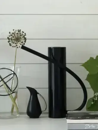 Arrosoir design en acier inoxydable avec tuyau en silicone |