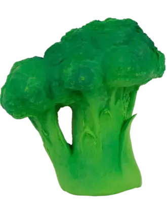 OLI & CAROL · Jouets  Brucy le brocoli