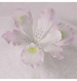 SUGAR FLOWER IRIS WHITE 3"