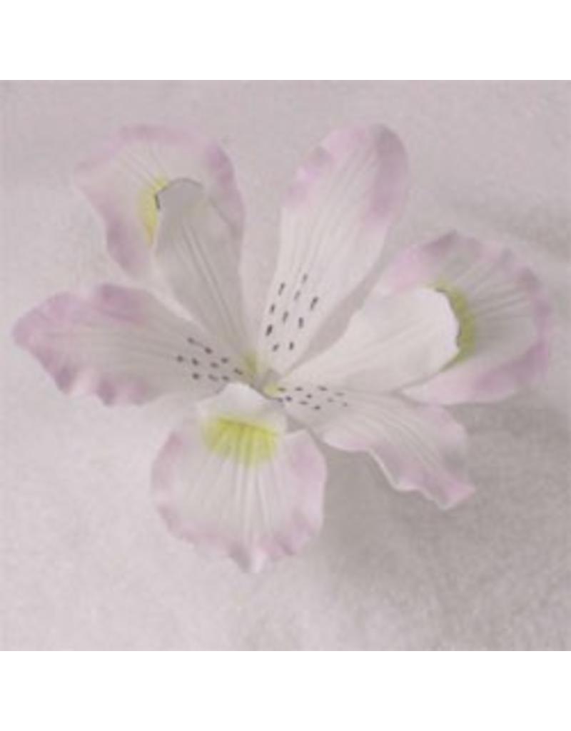SUGAR FLOWER IRIS WHITE 3"