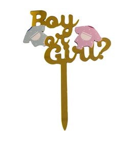 BOY OR GIRL CAKE TOPPER