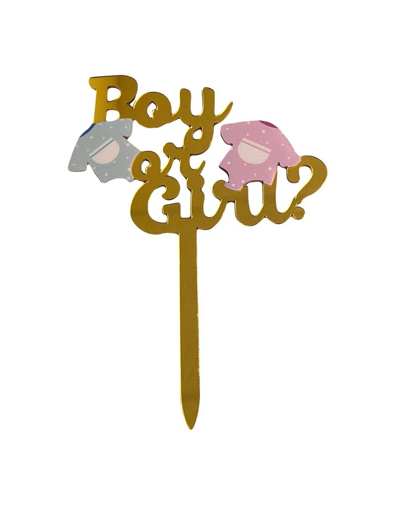 BOY OR GIRL CAKE TOPPER