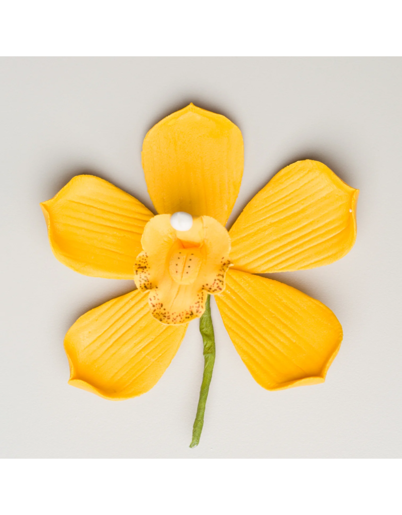 SUGAR FLOWER CYMBIDIUM ORCHID LARGE YELLOW 3.5"