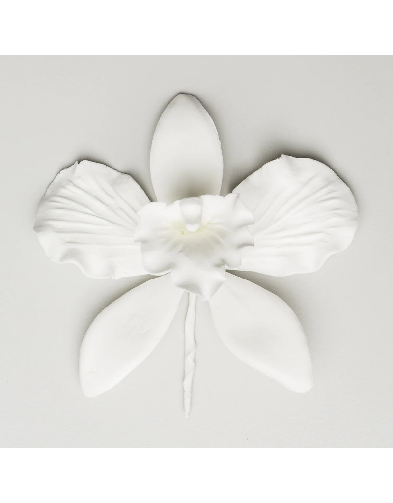 CATTLEYA ORCHID WHITE 4" SUGAR FLOWER
