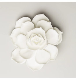 SUGAR FLOWER SUCCULENT WHITE 3"